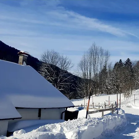 Haus Bazigg Apartamento *