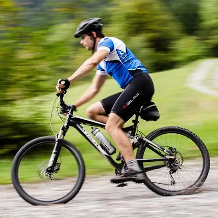 Haus Bazigg Apartamento *